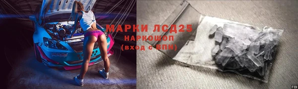 гидра Ивантеевка