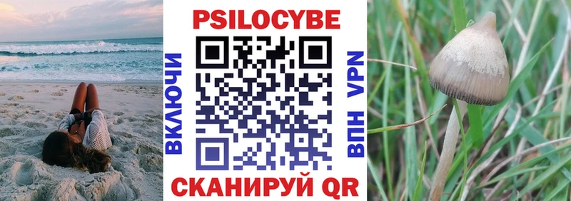 Псилоцибиновые грибы мухоморы  купить наркоту  Протвино 